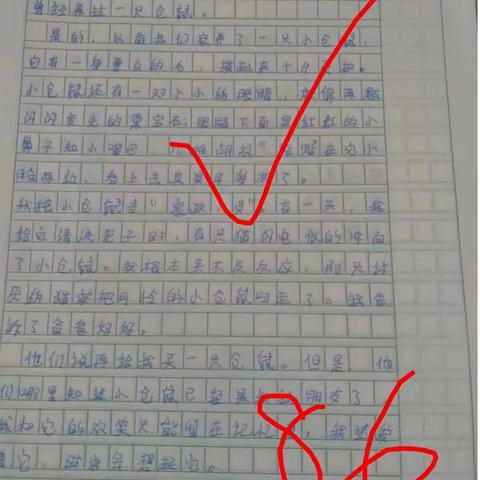 缤纷假期，快乐学习——张炉集镇五宋小学暑假作业批改