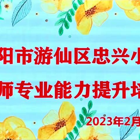 蓄力新起点 培训促提升 — 忠兴小学教师专业能力提升培训