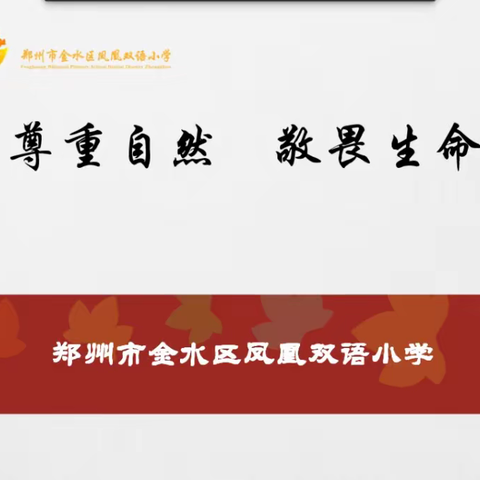 尊重自然 敬畏生命一一一抗击疫情 凤润德育在行动