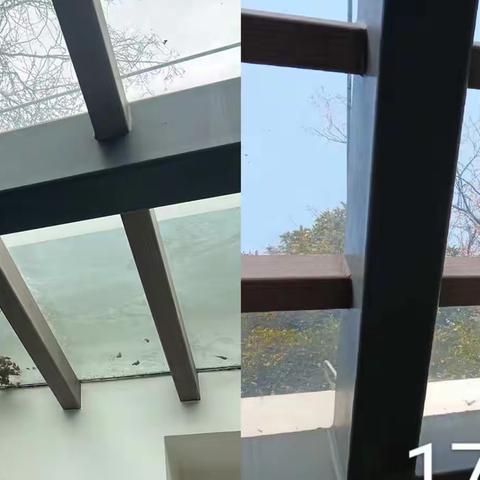 皇岗公园0216随机检整改汇报