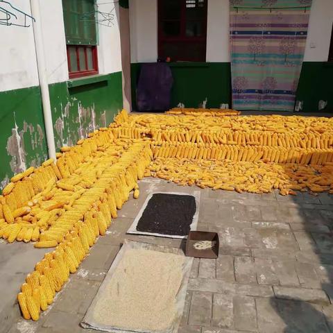 九月，脱贫攻坚继续前行