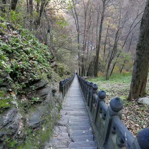 风起时，恰同学少年