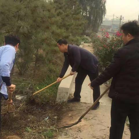 西王村11月9日工作动态