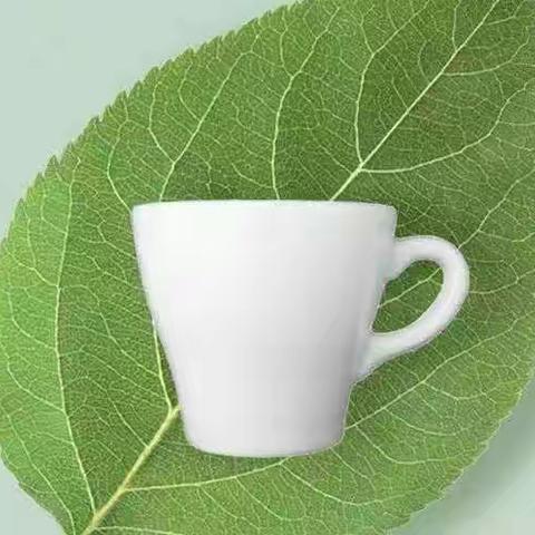 保护地球，从我做起！——密山市白鱼湾镇中学“世界地球日”宣传活动