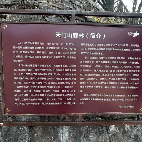 湖南之旅（三）张家界—天门山