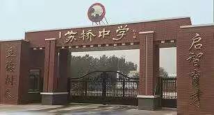 线上安全教育，平安伴随你我——苏桥中学开展线上安全教育活动