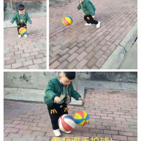 天坛中心幼儿园“停课不停学”第四周幼儿活动掠影（小班组）