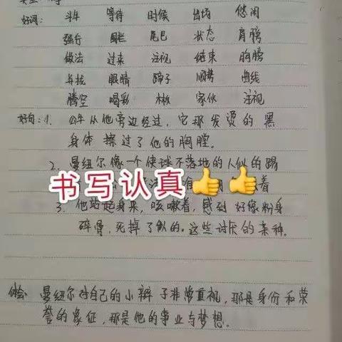线上教学也要抓好学生的书写习惯