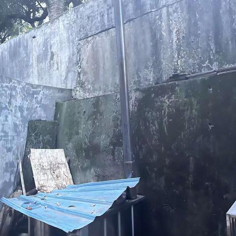 光雅园四巷11号