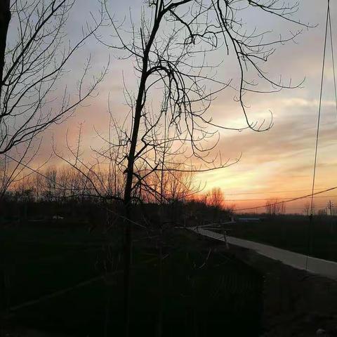 夕阳无限好