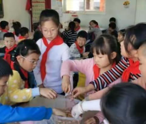 《水果皮玩起来》实践活动