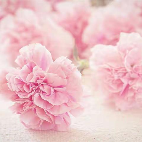 振颍幼儿园“三八妇女节”活动（小班）一一献给所有妈妈们的礼物