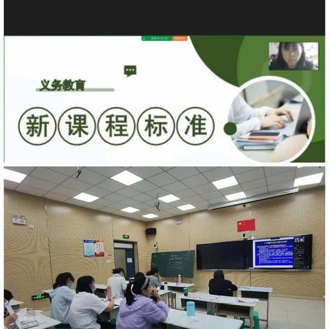 坚持耕学新课标 专家引领促成长