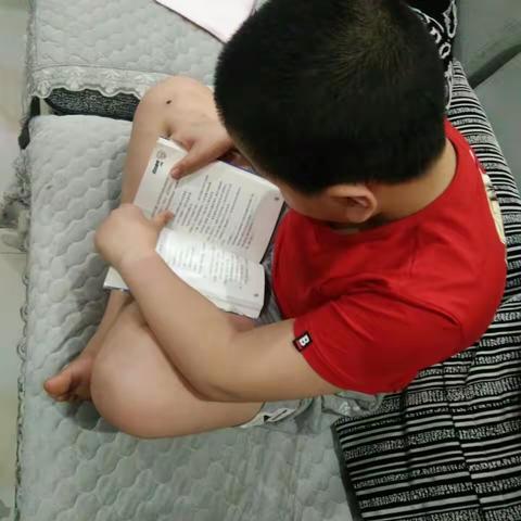 五年级14班语文