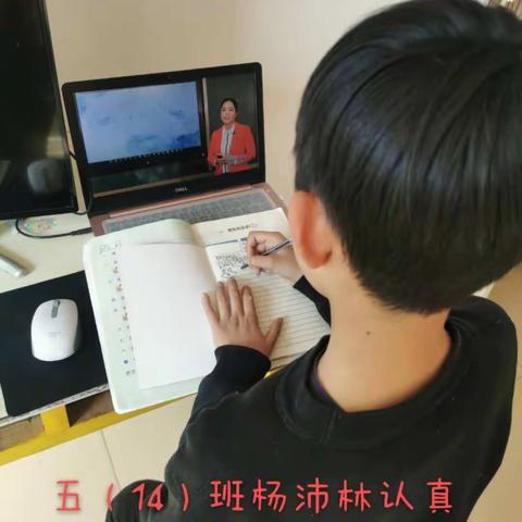 停课不停学，你们认真努力的样子真美！