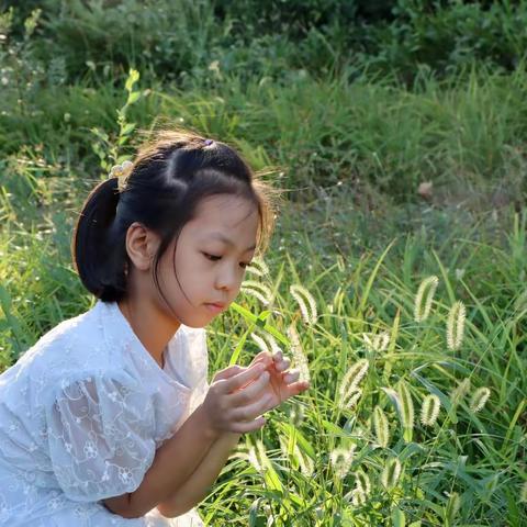 一念执着的美篇