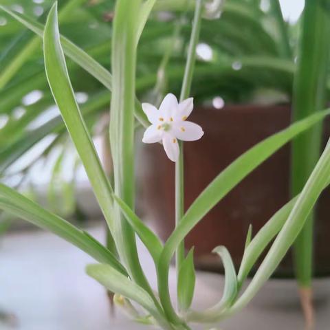 乘坐哥哥的电动车