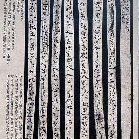 东汉章草隶体木简《误死马驹册》书法欣赏