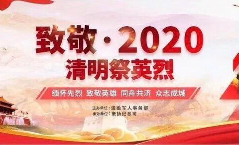 二龙乡王坪中心小学“致敬·2020清明祭英烈”网上祭扫英烈活动