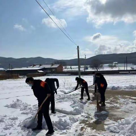 清扫积雪保安全，大旗村党支部主题党日在行动