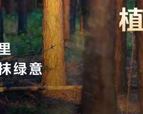 杨家庄小学三年级一班——我和小树🌲