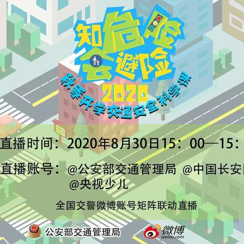 高三12班-知危险会避险--交通安全科学课