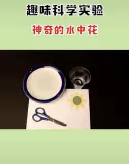 科学小实验：神奇的水中花
