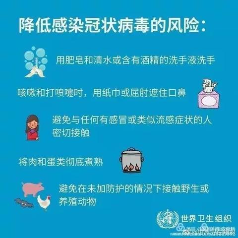 秦机幼儿园的美篇