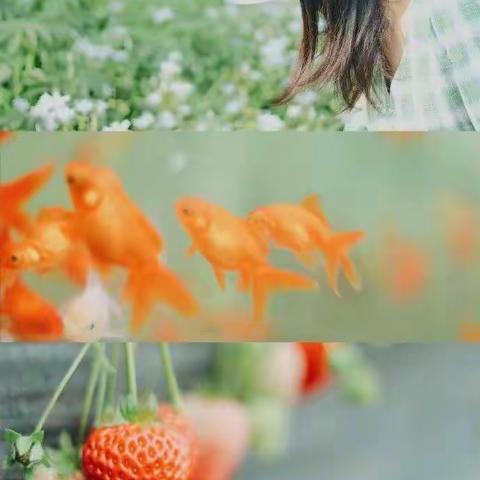 疫情攻坚战，停课不停学的孟杨