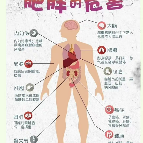 众鑫幼儿园（5月11日世界防治肥胖日)宣传教育