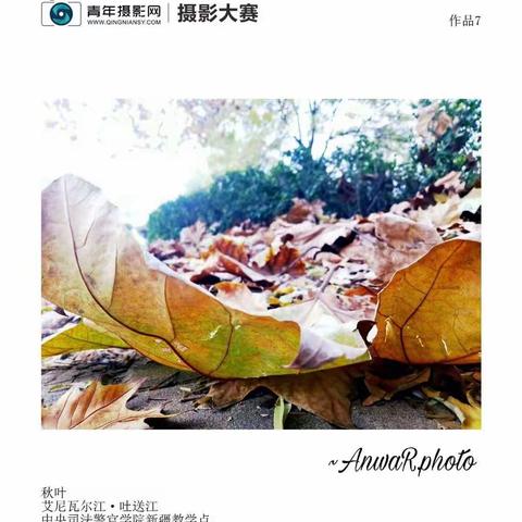 拥抱明天，拥抱太阳