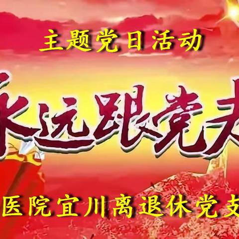 总医院宜川离退休党支部主题党日活动纪实