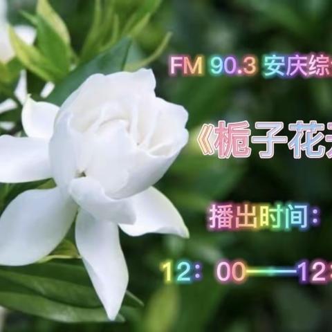 《栀子花开》周五特别节目《校园风景线》预告