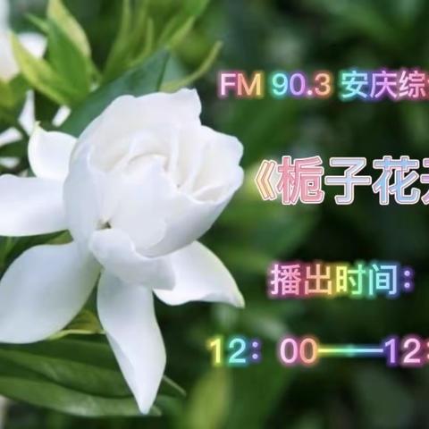 《栀子花开》周五特别节目《校园风景线》节目预告