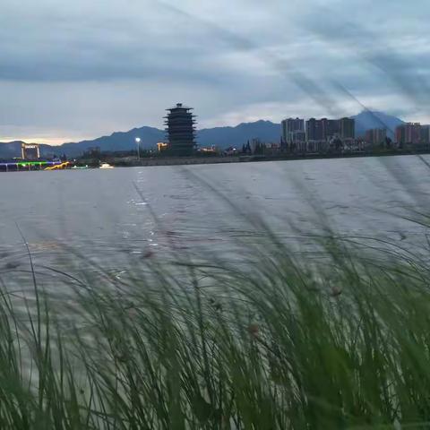 打谷子