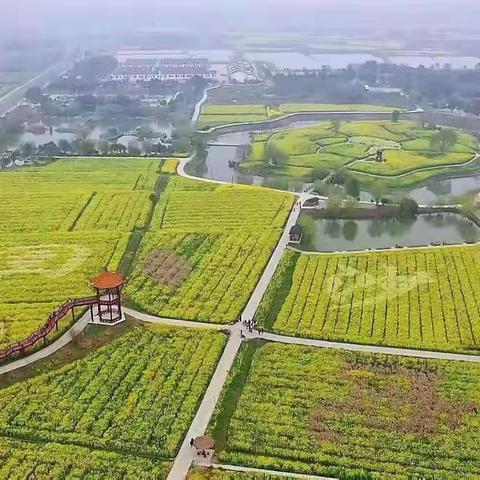 “春天等你”----荆门·沙洋第十四届油菜花旅游节民俗文化展演马良镇专场演出