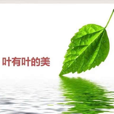 时间轴上的永恒———叶子书签制作