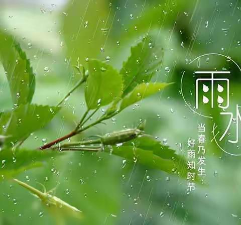 天桥岭镇中心幼儿园二十四节气——雨水