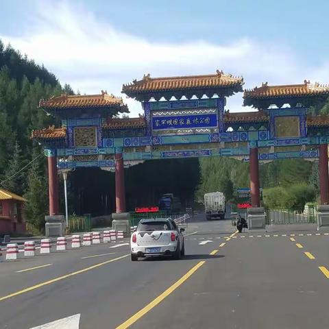 拥抱大草原------游塞罕坝国家森林风景区