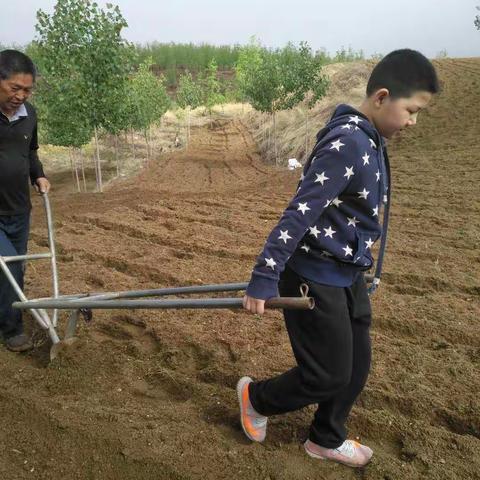 劳动最光荣——只里乡白庙小学劳动节活动报道