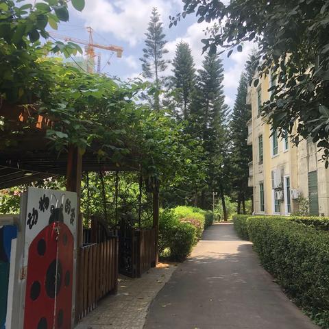 和孩子们一起来一场春天的约会吧！埋锅造饭➕采摘活动