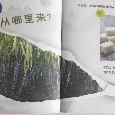 小班第七周活动精彩瞬间