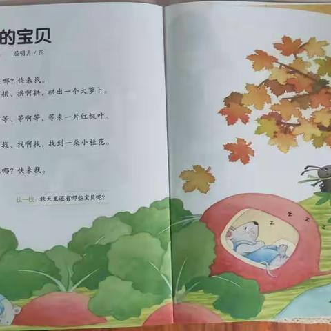 小班十二周活动记录