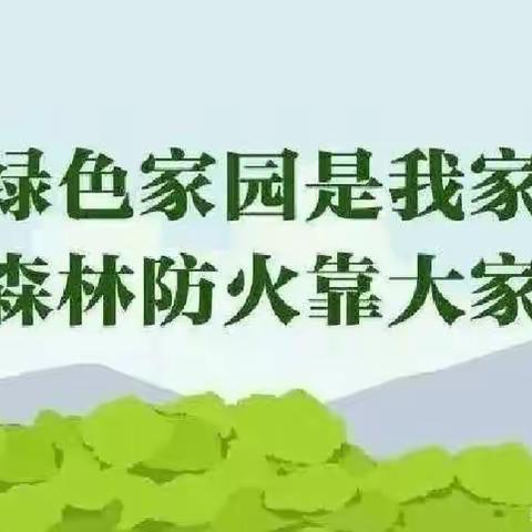 巢湖市城市之光小红帽幼儿园——致学生家长关于“森林防火”的一封信