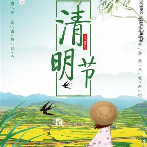 豆豆班🌸清明主题活动🍀🎋🍃