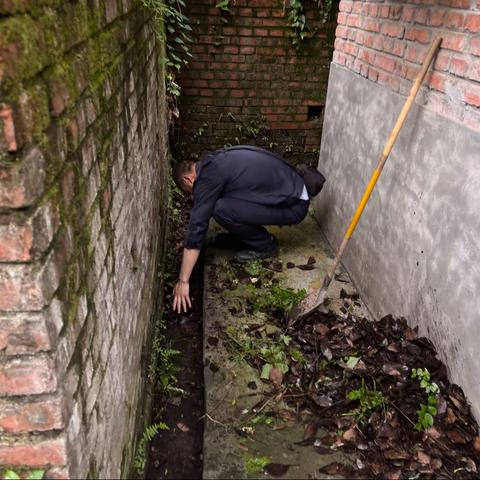 清理环境   消除隐患