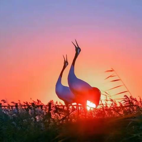 慕东篱诗词三首