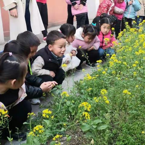 不负时光⭐️  温暖前行💞——肥东六中幼儿园小三班周总结