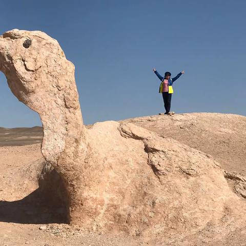 2019年新疆之行第一册（成都～乌鲁木齐，行程五天，行驶3282公里）