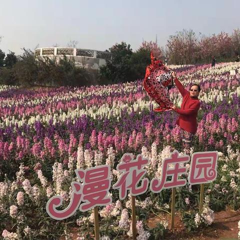 2018年“三·八”节